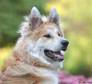 ������� ��� � ������ ����