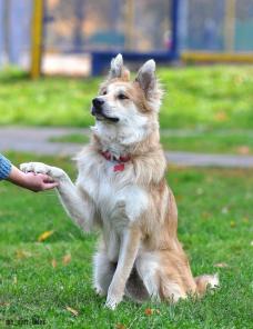 ������� ��� � ������ ����