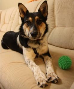 ������ ���������, ��������� �������� ������� � ���.(10 ���, ����� �������)