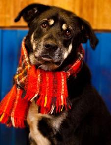 ������ ��������� ������? ��� ��� ��� ���! ����!!