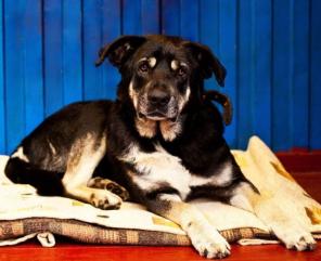 ������ ��������� ������? ��� ��� ��� ���! ����!!