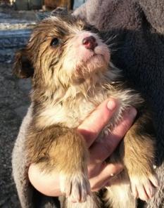 ����� � ������ ����