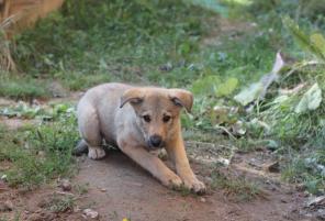 ������������� ����� ���� ���� ������� �����