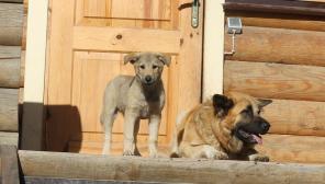 ������������� ����� ���� ���� ������� �����