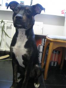 ����� ������� � ���