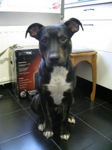 ����� ������� � ���