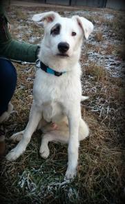 ����������� ����� ������ � ������ ����