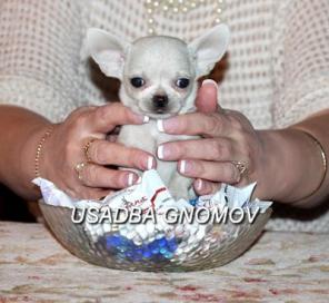 �������� �� ��������� ��������� ������