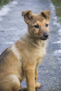 ����� ������ ����� 3,5 ���. � ������ ����