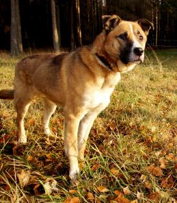 ���� ��� �������������, ������ � ���������� ����� ���  �����.