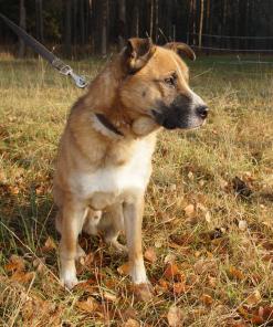 ���� ��� �������������, ������ � ���������� ����� ���  �����.