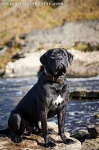 ����� ���� ����� - ���� �����