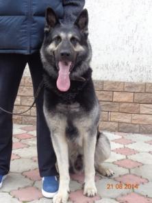 ������������������� ������� - ��������