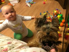 Пропала любимеца помогите.