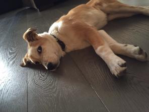 ����� ����� ������� � ������� ����