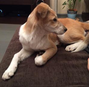 ����� ����� ������� � ������� ����