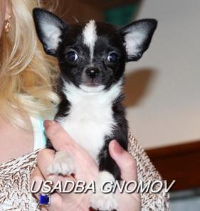 �������� �� ��������� ��������� ������