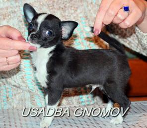 �������� �� ��������� ��������� ������