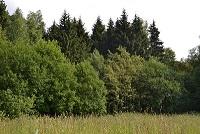 ��������� ������� �� ������������ ����., ���. 12 �� �� ���� �� ������������ �.