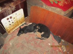 �������