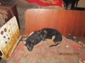 �������