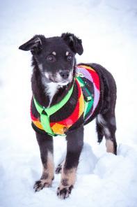 ���� ���� ���