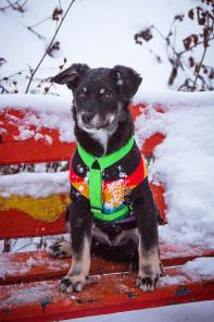 ���� ���� ���