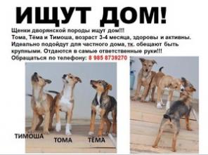 � ����� ������������� ����!