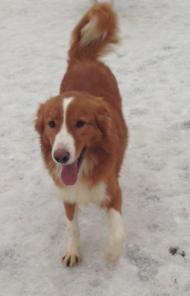 ������ � ���