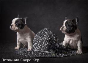 ����� ������������ ��������. �������� ����� ���.