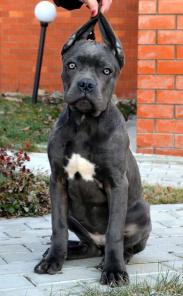 �������������� ����� ���� �����.  ���������������� ������������� ���� ������