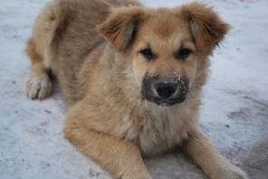 ��� ������� ����������-������� � ���!