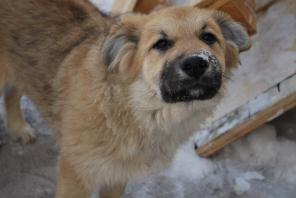 ��� ������� ����������-������� � ���!