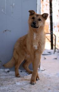 �������� ����� ���� ���. 7 ���.