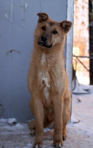 �������� ����� ���� ���. 7 ���.