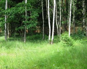 ������ y��c�o� 18 co� � ��c. K��������