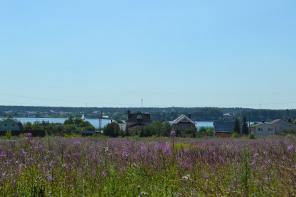 ������� �� ����������� �., 12 �� �� ����. ���. ������������ ����.