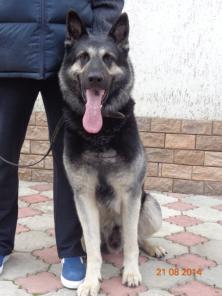 ������������������� ������� - ��������