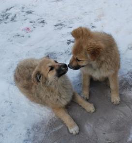 ����� ������ ������� � ������ ����