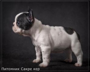 ����� ������������ ��������. �������� ����� ���.