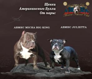 ����� ������������� �����. ���: �����.