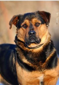 ����� ����� - ��������, ������ ����. �����, ������.