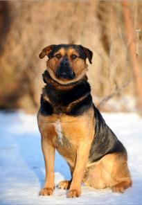 ����� ����� - ��������, ������ ����. �����, ������.