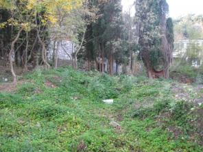 ������� ���������� ������� � ����� ������ ����.