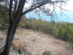 ��������� ������� � ������� ���� ��� ���.