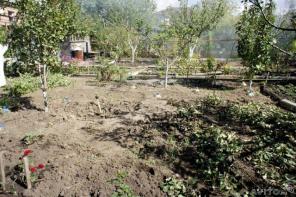 ������ ������� 6 ���.