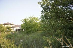 ������ �������