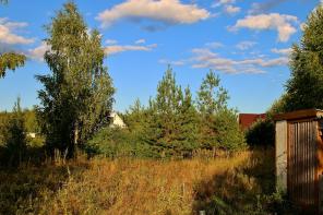 ��ac��� 12 �o�o�. ��������