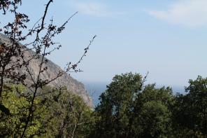 ������� ��������� �������