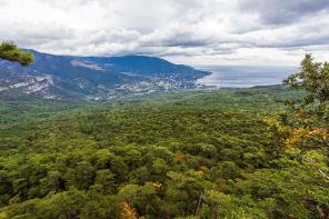 ���� �� �������� ����������������, �� ��� ��� ���